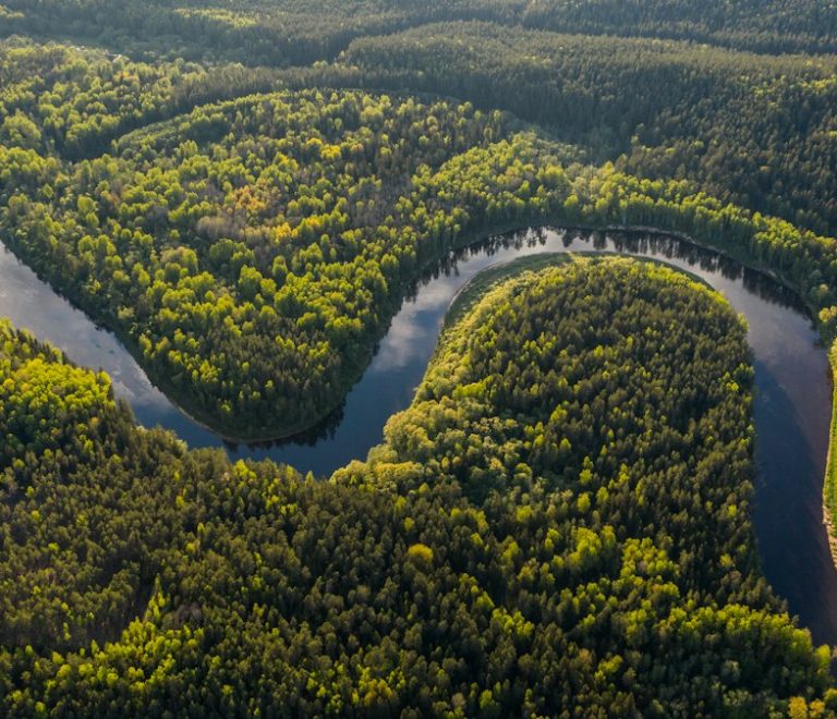 Vista aérea de la selva amazónica