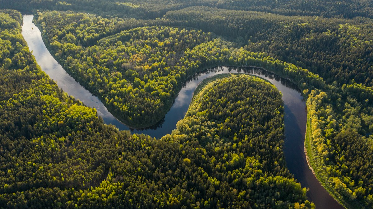 Vista aérea de la selva amazónica