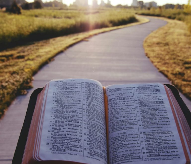 Biblia abierta en el campo